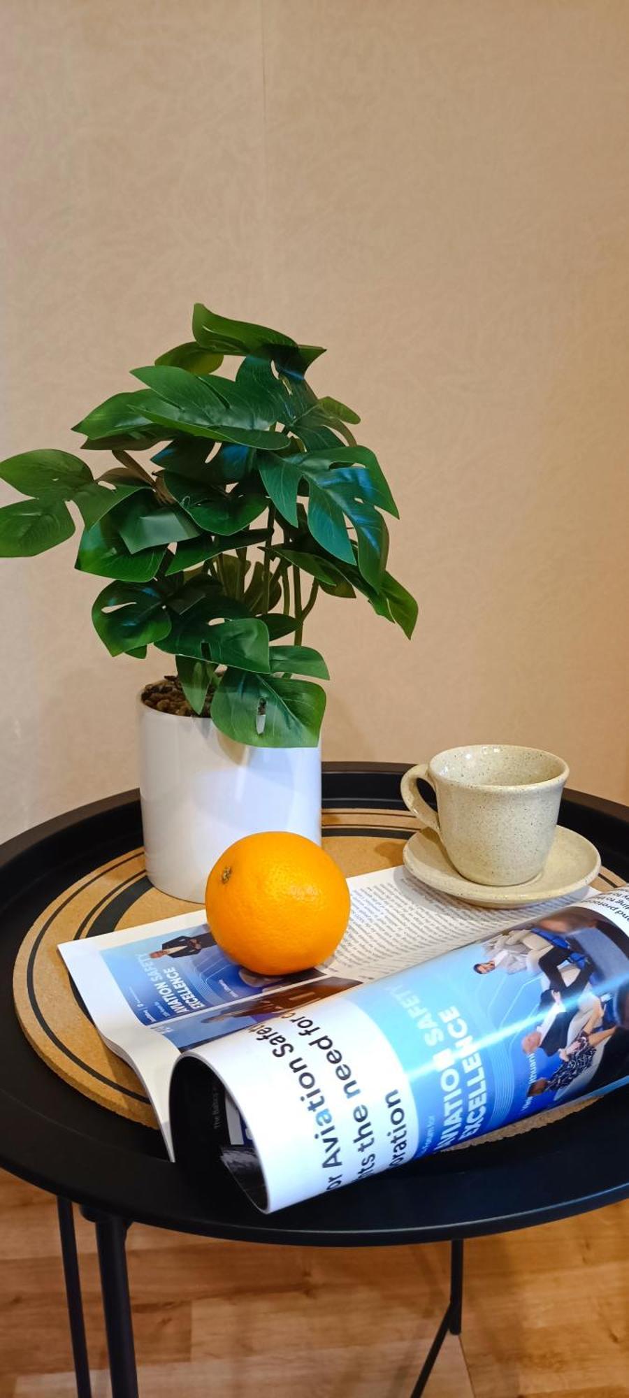 Historic Old Town Escape Cozy 2 Bedrooms Perfect Location Apartment